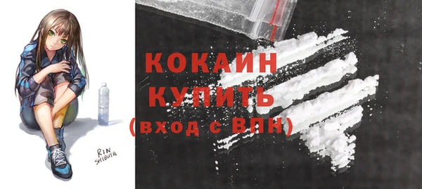 крисы Калининец