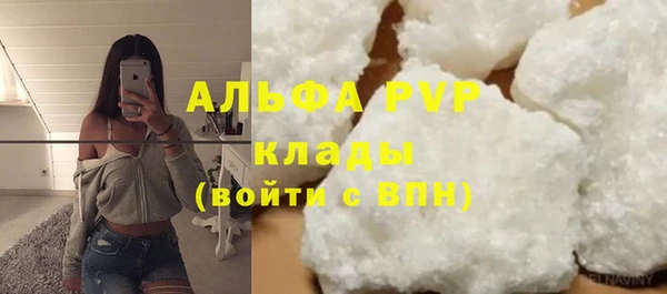 PSILOCYBIN Балабаново