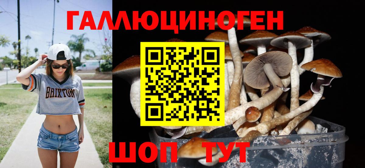 Псилоцибиновые грибы Psilocybine cubensis Белорецк