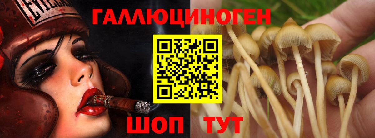 Галлюциногенные грибы мицелий Белорецк